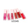 TINTA DE LABIOS LIP PLUMP UC045