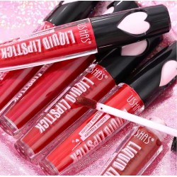 LABIAL LIQUIDO USHAS UC038A