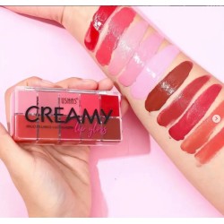 LIP GLOSS EN CREMA USHA UC006