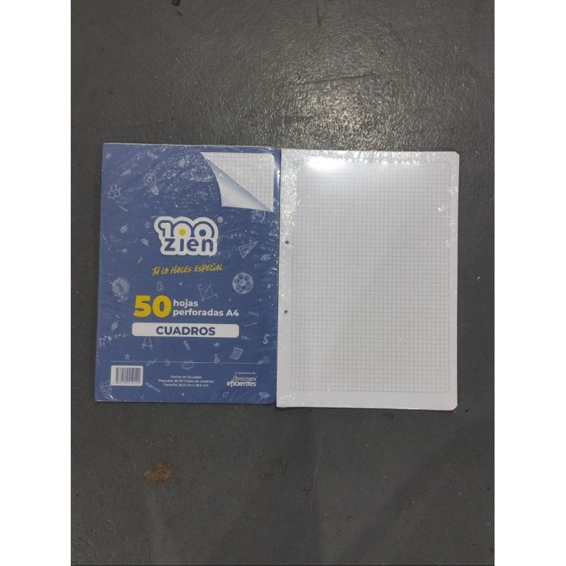 Paquete de Hojas a Cuadros Perforadas A4