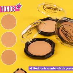 BASE SFR COLOR MINERAL POWDER 8101