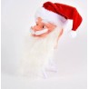 CABEZA PAPA NOEL GORRO BAILARIN 9205-39