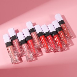 VELVET GLOSS INK SFR COLOR 5790