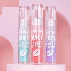 GLOSS HINCHADOR DE LABIOS - 3 SABORES 71529-47 -KARITÉ