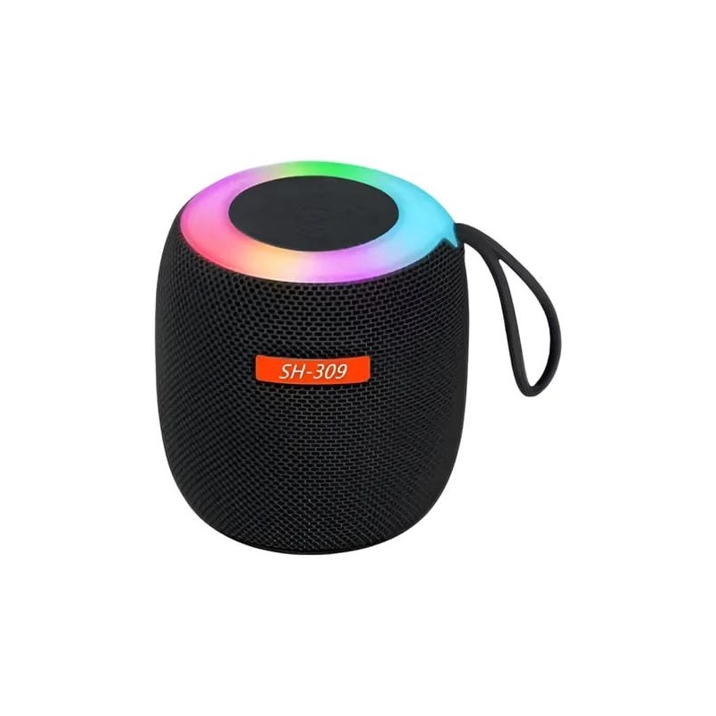 Radio Parlante USB y Bluetooth SH-309  YGY1389
