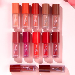 LIP GLOSS MATTE LARGA DURACIÓN QI094 -QIBEST