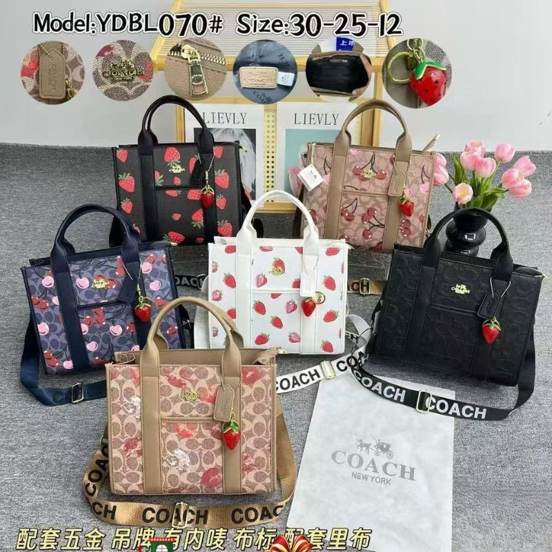 Cartera Coach YDBL070