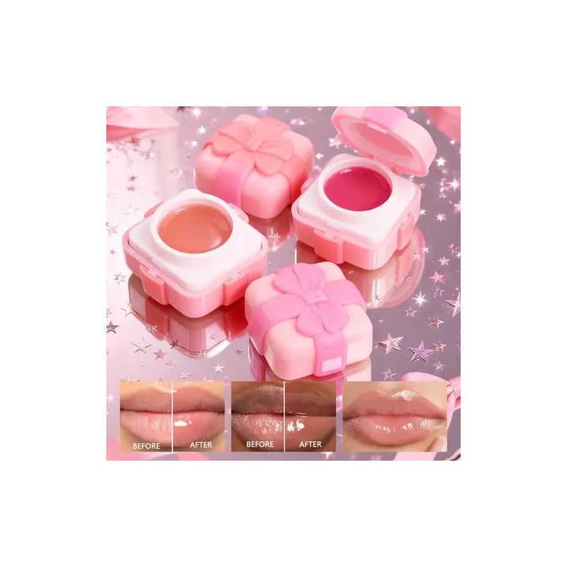 LIPGLOSS CAJITA DE REGALO S.F.R COLOR 5886