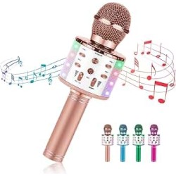 Micrófono Karaoke 735