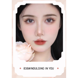 Labial Aterciopelado Estilo Coreano Novo 6066