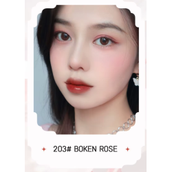 Labial Aterciopelado Estilo Coreano Novo 6066