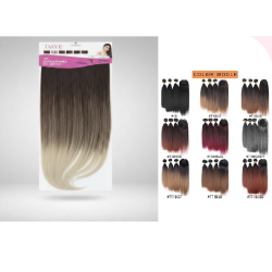 Extensiones de Cabello Bicolor con 5 pinzas DY707