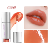 Lipgloss 6476 - Novo