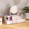 Organizador con Cajones LD-1001