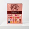 LIBRO SOMBRAS-ILUMINADOR-BLUSH-POLVOS- LIPSTICK Y CEJAS CD911
