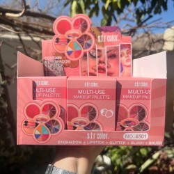 EYESHADOW + LIPSTICK + GLITTER + BLUSH + BRUSH COLOR 6501