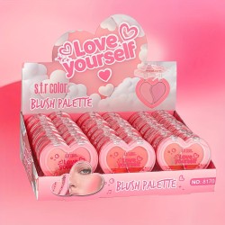 BLUSH SFR COLOR LOVE YOURSELF 8170