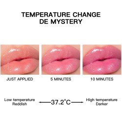 GLOSS HINCHADOR HIDRATANTE FBC035 - FEBBLE