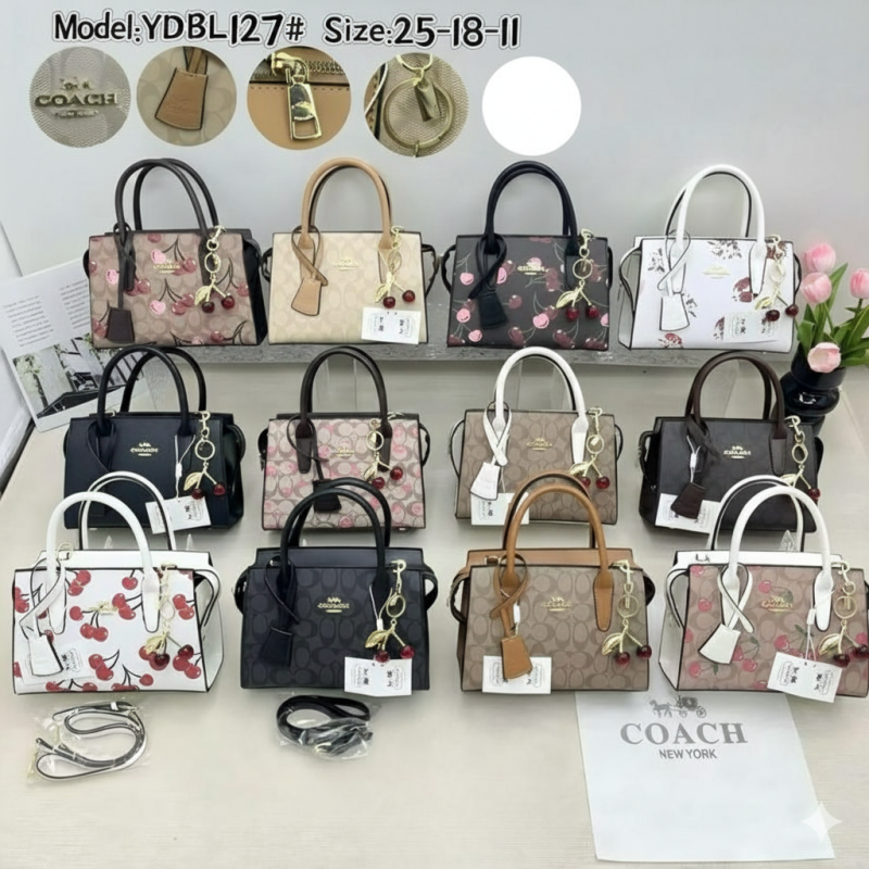 Cartera Coach YDBL127