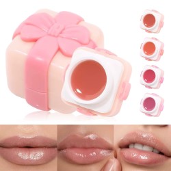 LIPGLOSS CAJITA DE REGALO S.F.R COLOR 5886