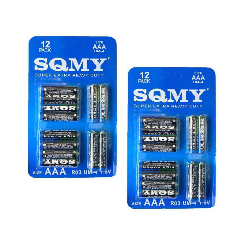 SET DE 12 PILAS AAA DY555